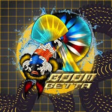 Logo Boom Betta